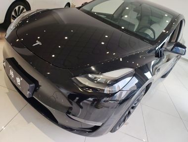 Tesla Model Y 2021 Tesla Model Y 2021 car image
