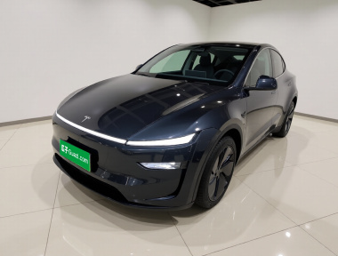 Tesla Model Y 2025 car image 