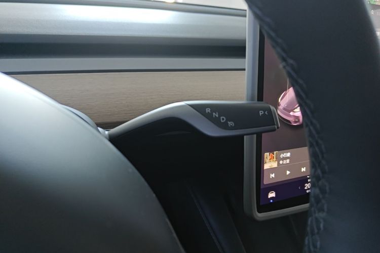 Tesla Model Y 2021 car image #14