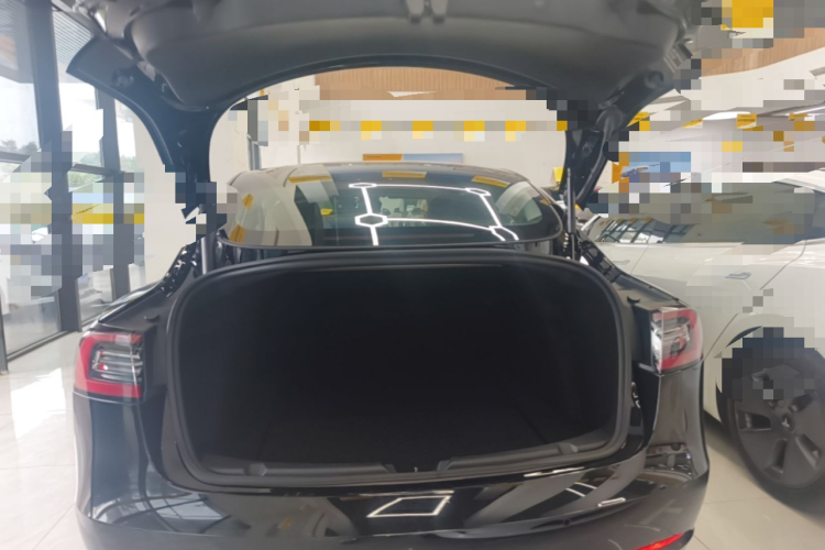Tesla Model 3 2021 car image #19