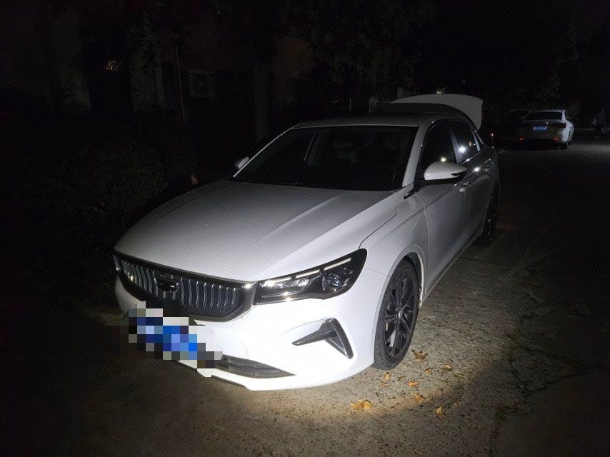 GEELY Emgrand 2021 car image 