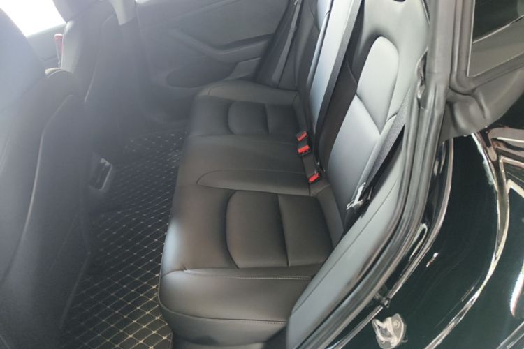 Tesla Model 3 2021 car image #17