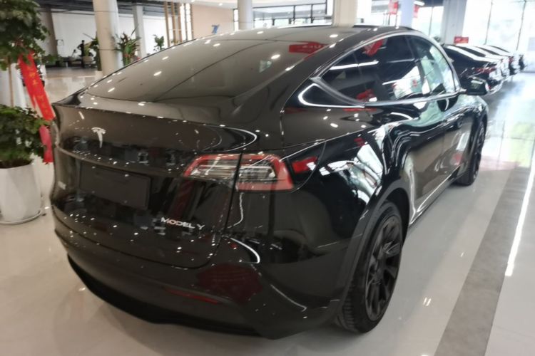 Tesla Model Y 2021 car image #7