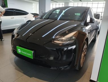 Tesla Model Y 2020 Tesla Model Y 2020 car image