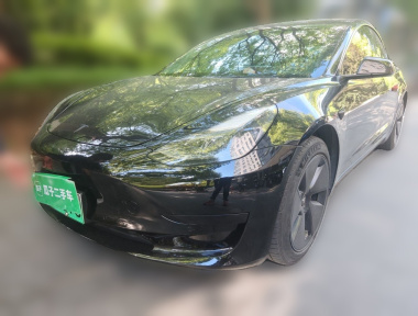 Tesla Model 3 2021 Tesla Model 3 2021 car image
