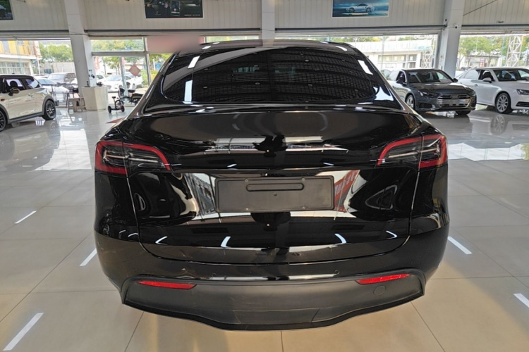 Tesla Model Y 2023 #6 Tesla Model Y 2023 car image #6