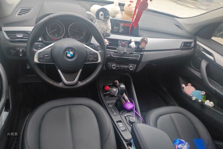 BMW X1 2016 car image #11
