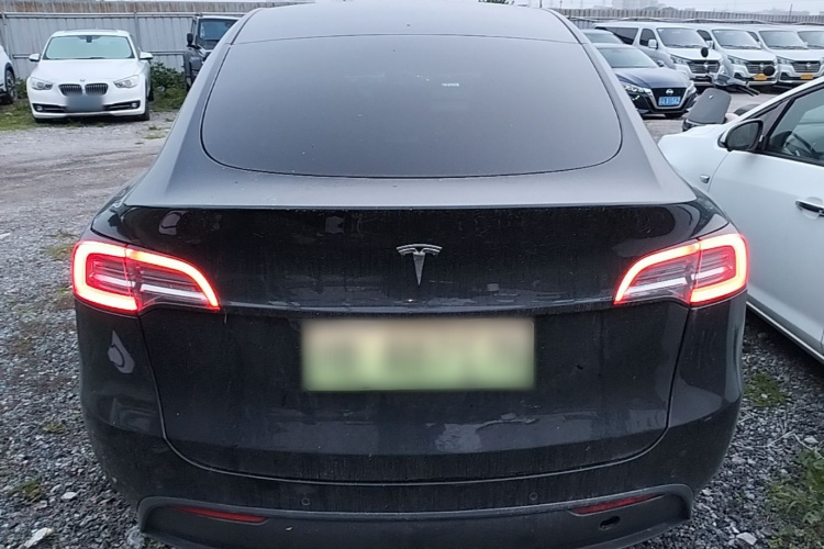 Tesla Model Y 2022 car image #6