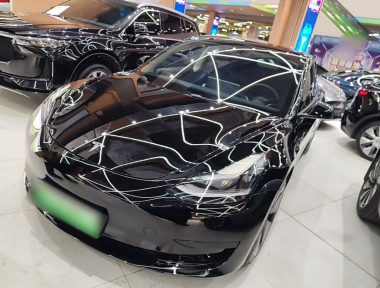 Tesla Model 3 2022 immagine di auto 