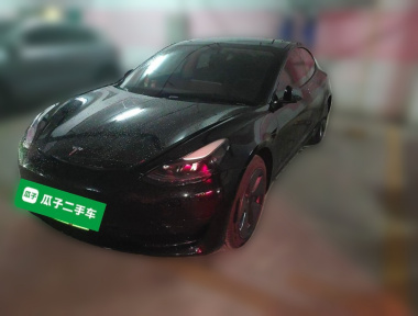 Tesla Model 3 2021 car image 