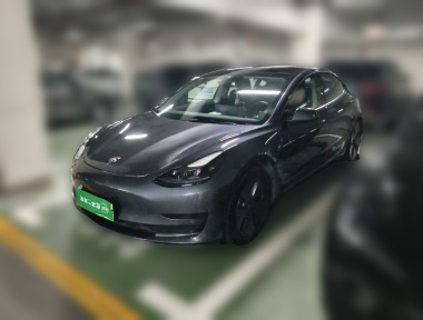 Tesla Model 3 2021 Tesla Model 3 2021 car image