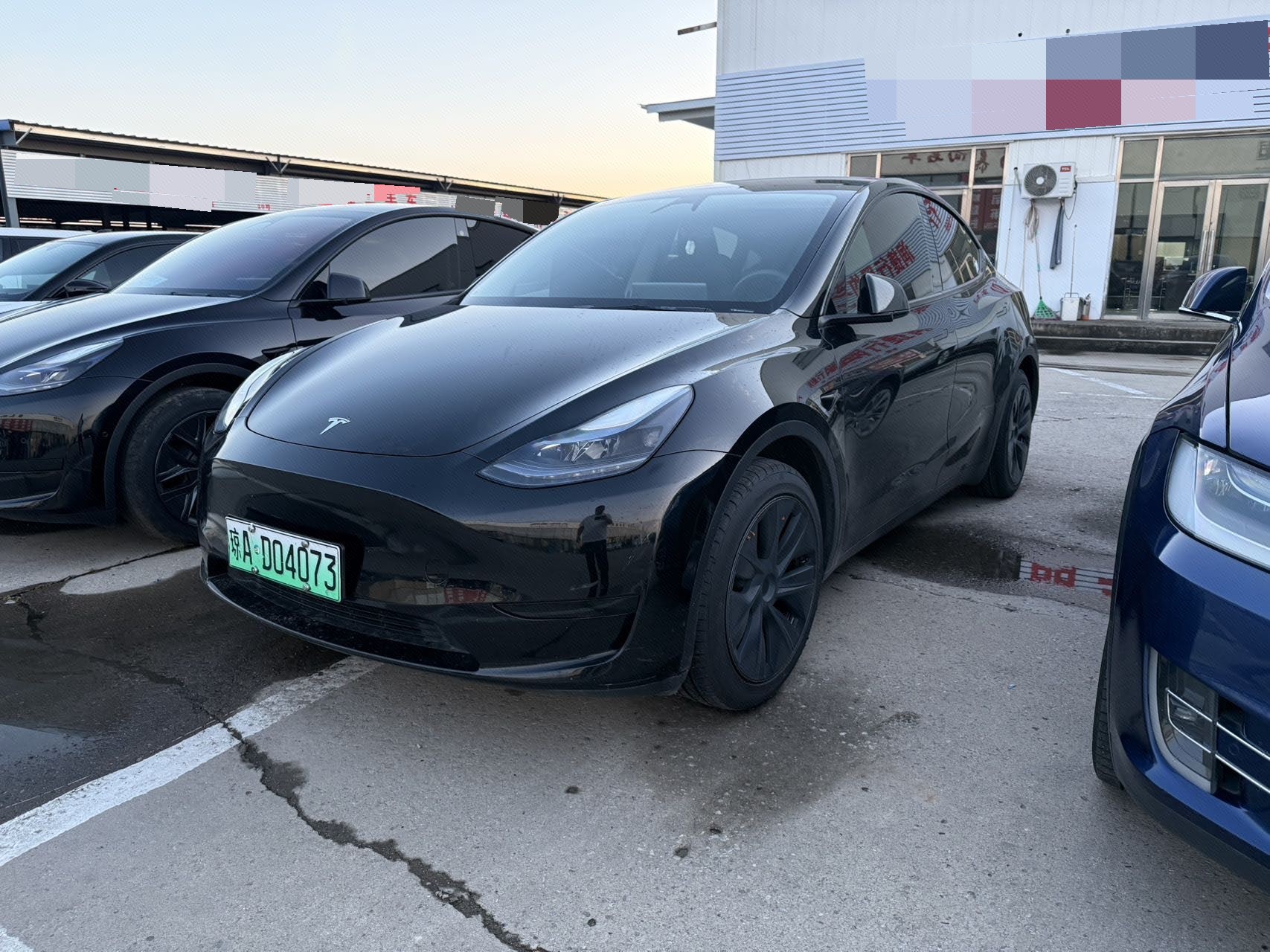 Tesla Model Y 2024 car image 