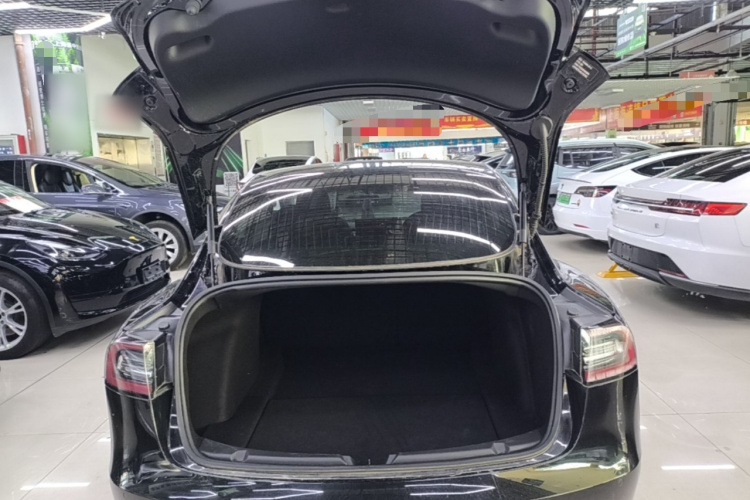 Tesla Model 3 2020 car image #19