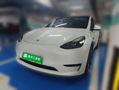 Tesla Model Y 2023 car image 