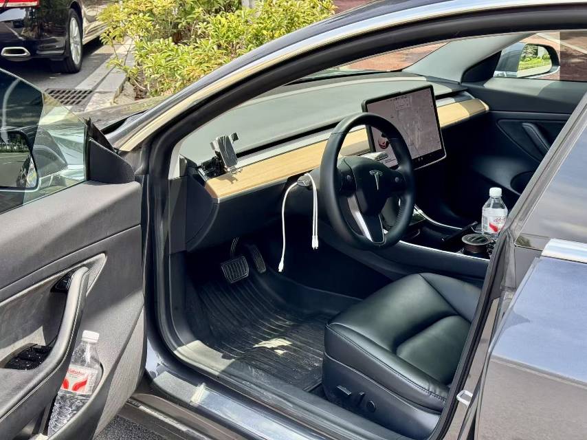 Tesla Model 3 2020 car image #7