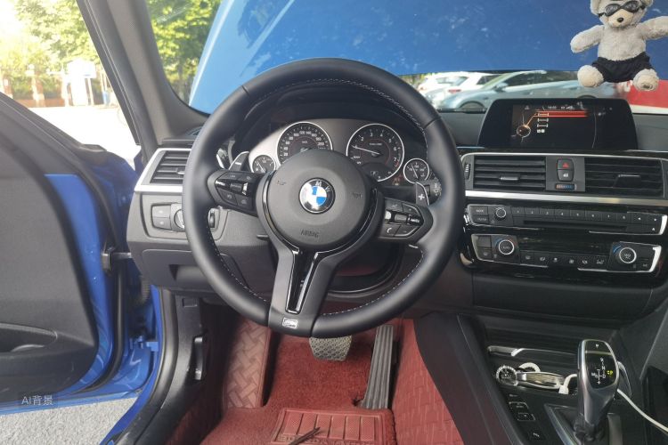 BMW 3 Series 2017 car image #12
