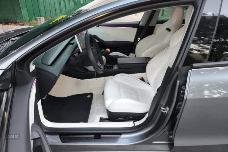 Tesla Model 3 2024 car image #17