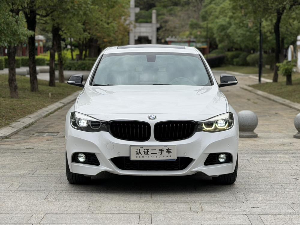 BMW 3 Series GT 2019 car image #2