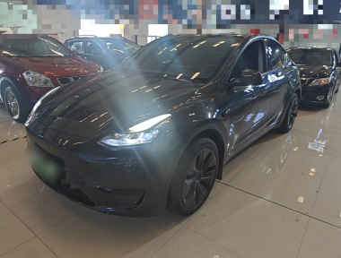 Tesla Model Y 2024 Tesla Model Y 2024 car image