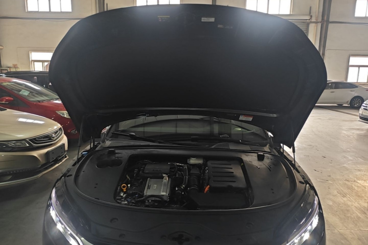 BYD Han 2024 car image #20