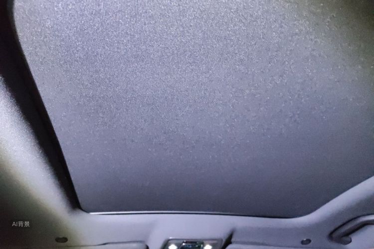 BYD Han 2022 car image #20