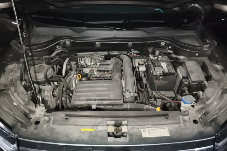 Volkswagen Tharu 2018 car image #22