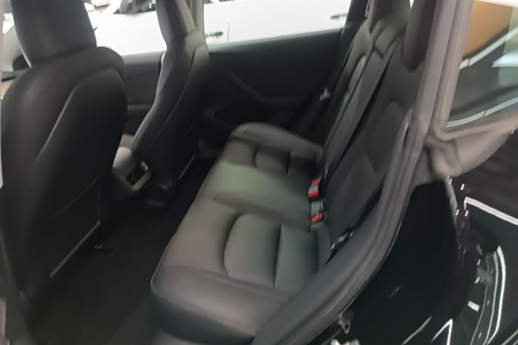 Tesla Model 3 2021 #17 Tesla Model 3 2021 car image #17