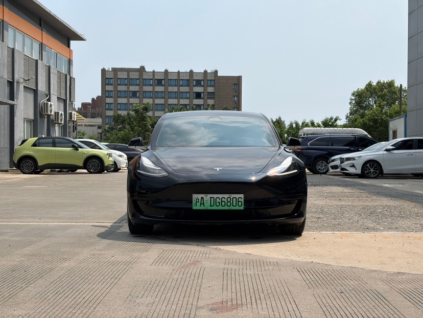 Tesla Model 3 2020 car image 