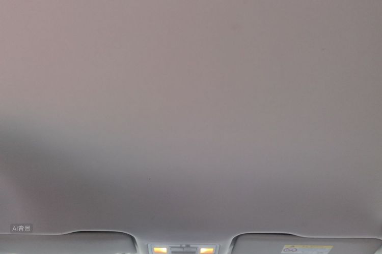 Volkswagen Bora 2020 car image #20