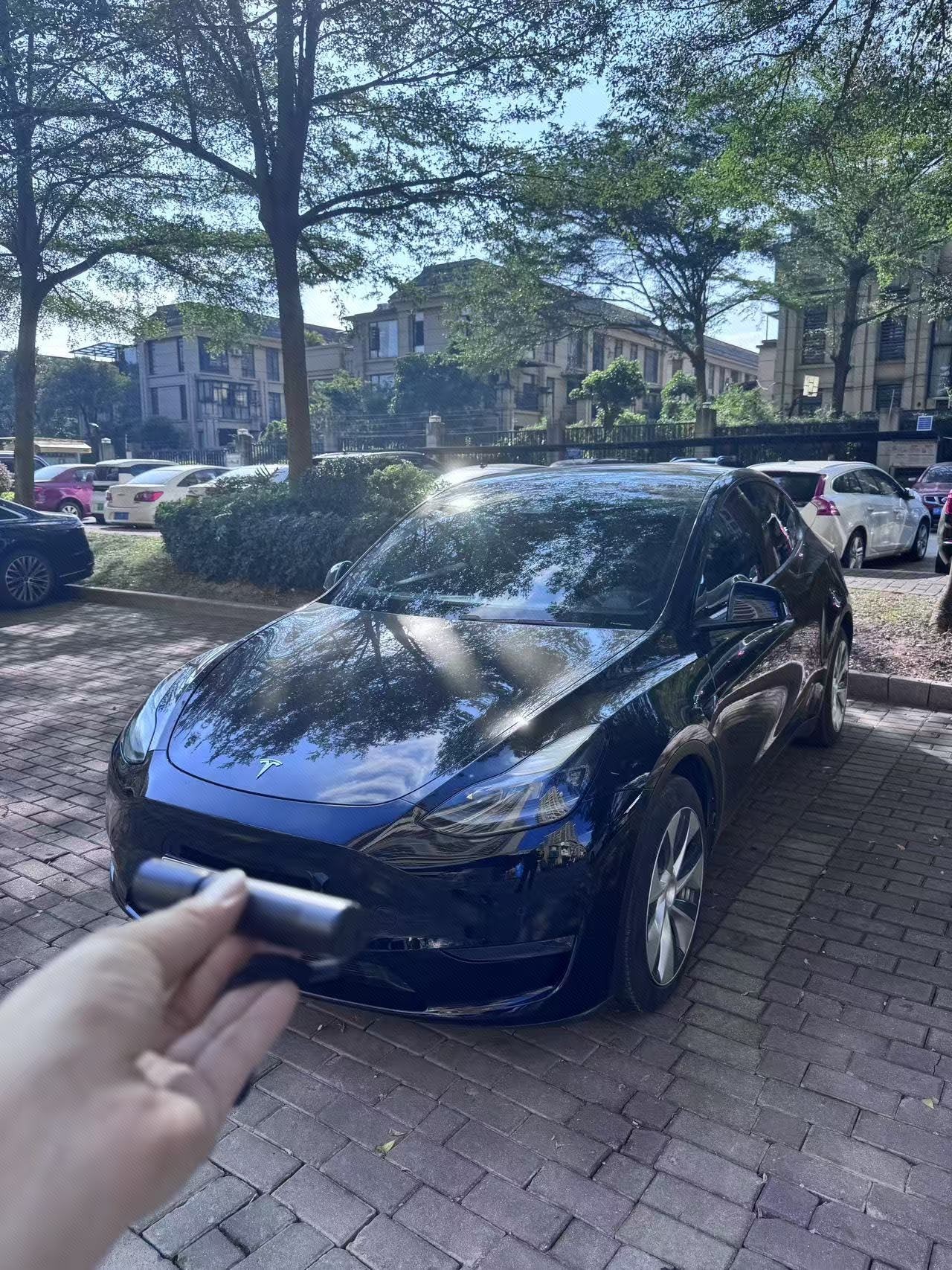 Tesla Model Y 2021 Tesla Model Y 2021 immagine di auto