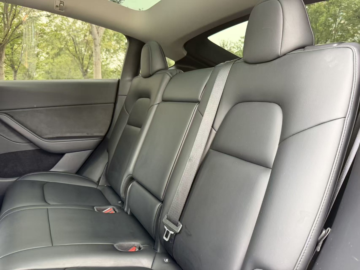 Tesla Model Y 2022 car image #14