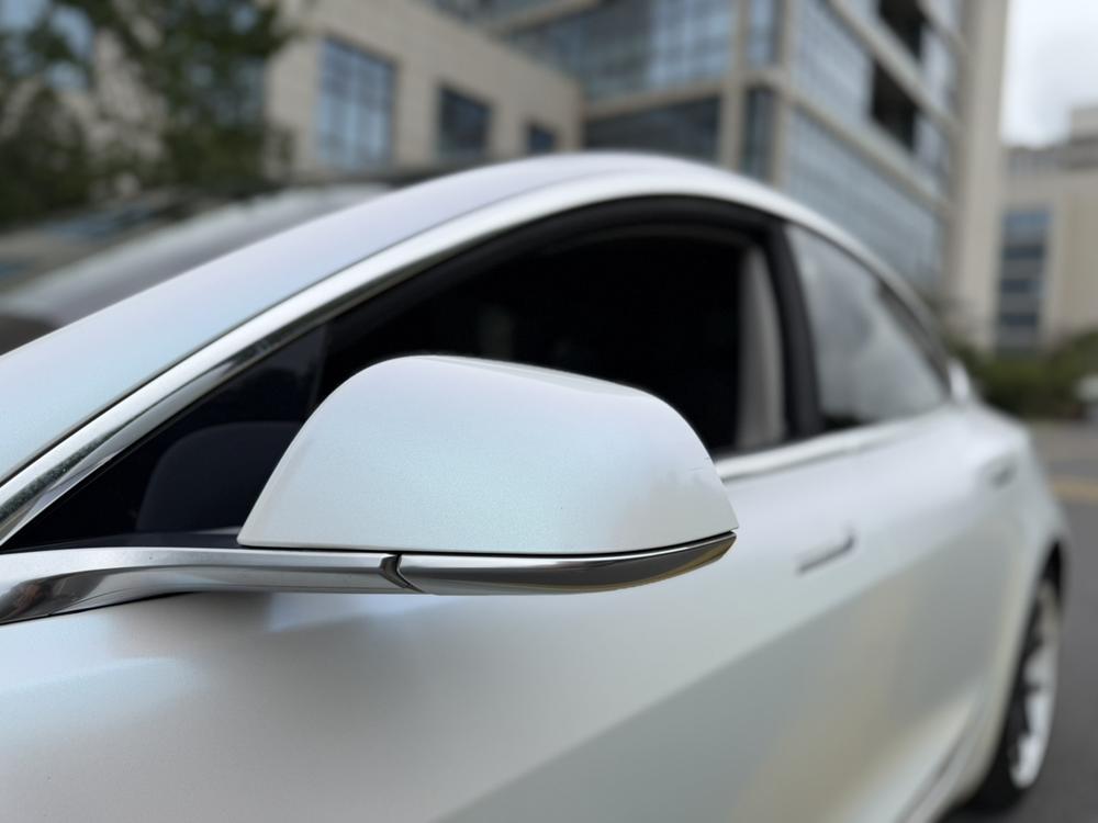 Tesla Model 3 2020 #12 Tesla Model 3 2020 car image #12