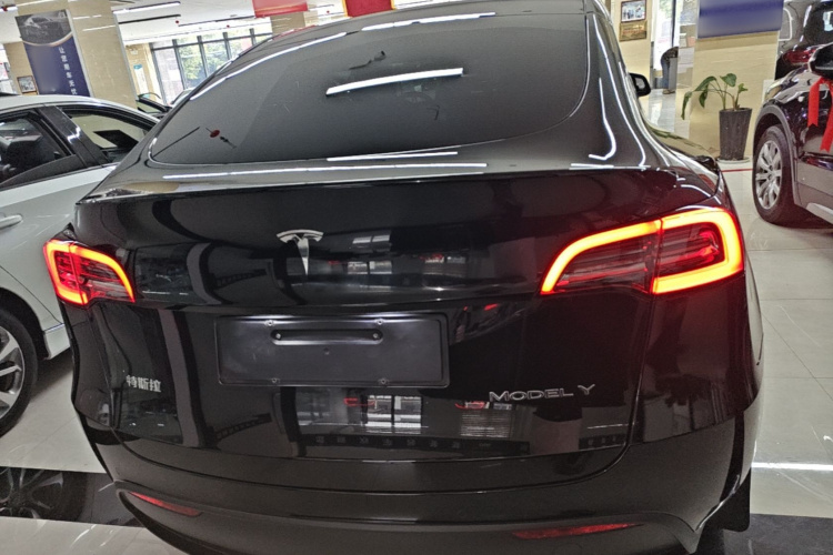 Tesla Model Y 2023 #6 Tesla Model Y 2023 car image #6