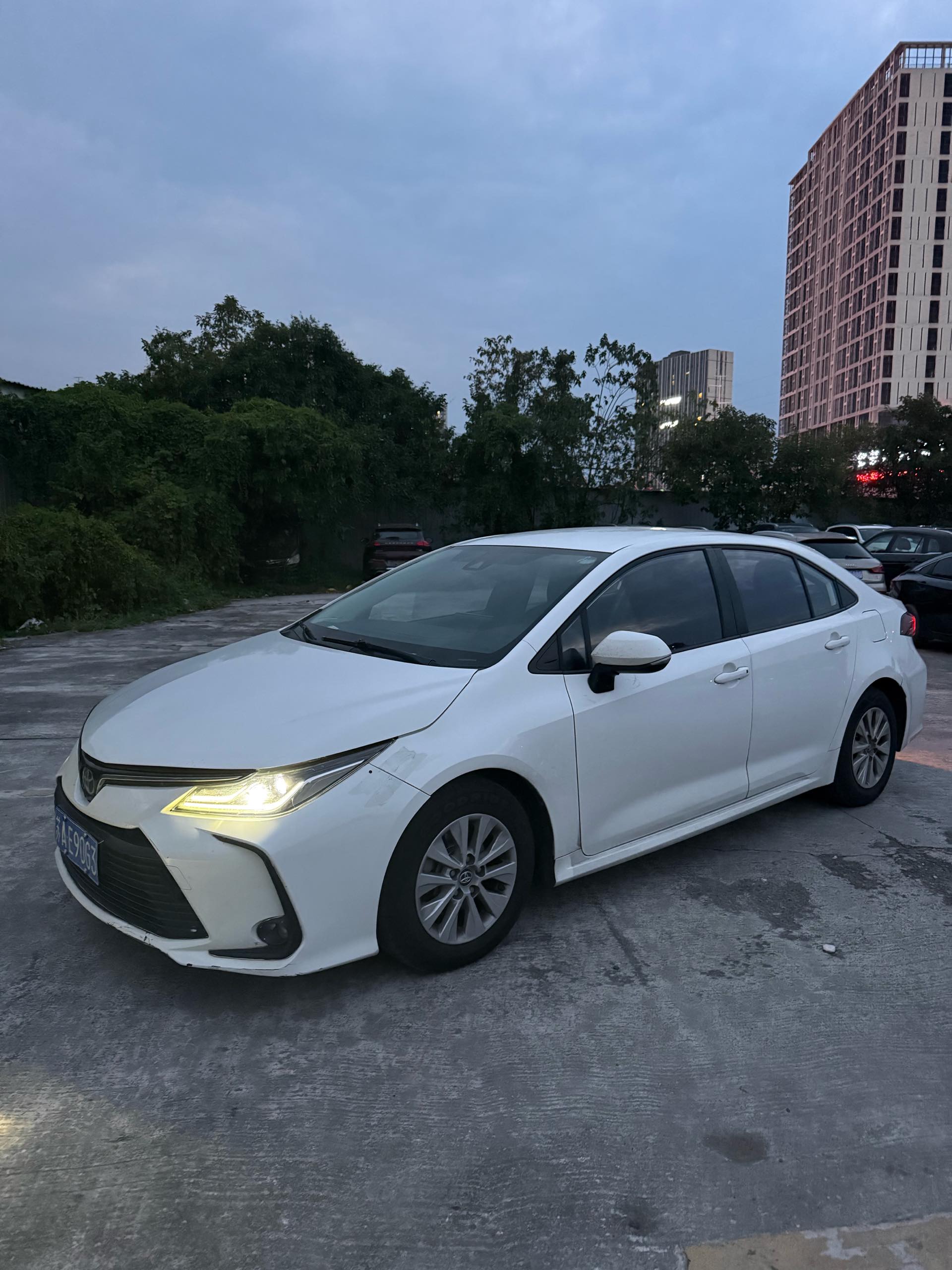 Toyota Corolla 2023 car image 