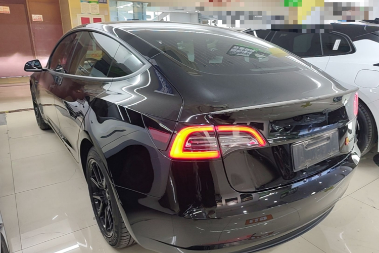 Tesla Model 3 2020 car image #5