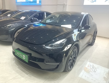 Tesla Model Y 2021 Tesla Model Y 2021 car image