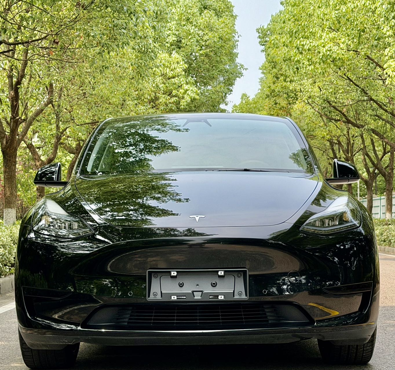Tesla Model Y 2023 car image #4