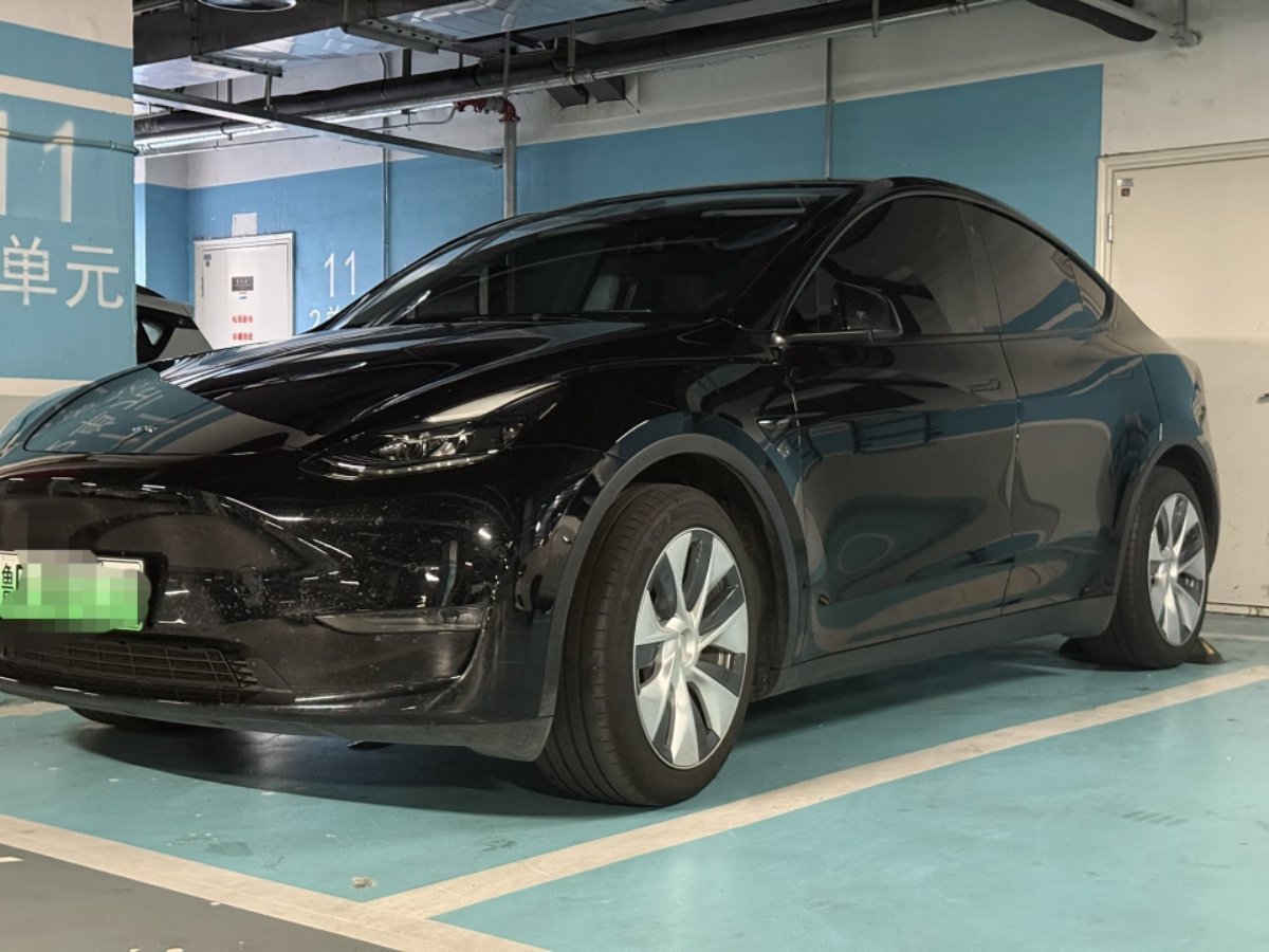 Tesla Model Y 2023 car image 