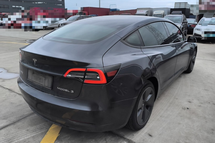 Tesla Model 3 2021 car image #7
