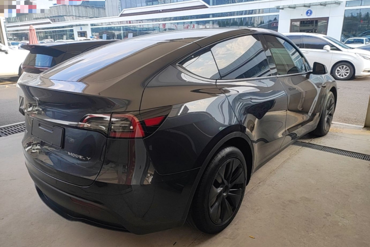 Tesla Model Y 2024 car image #7