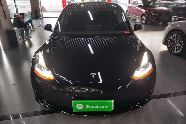 Tesla Model 3 2022 imagem de carro #3