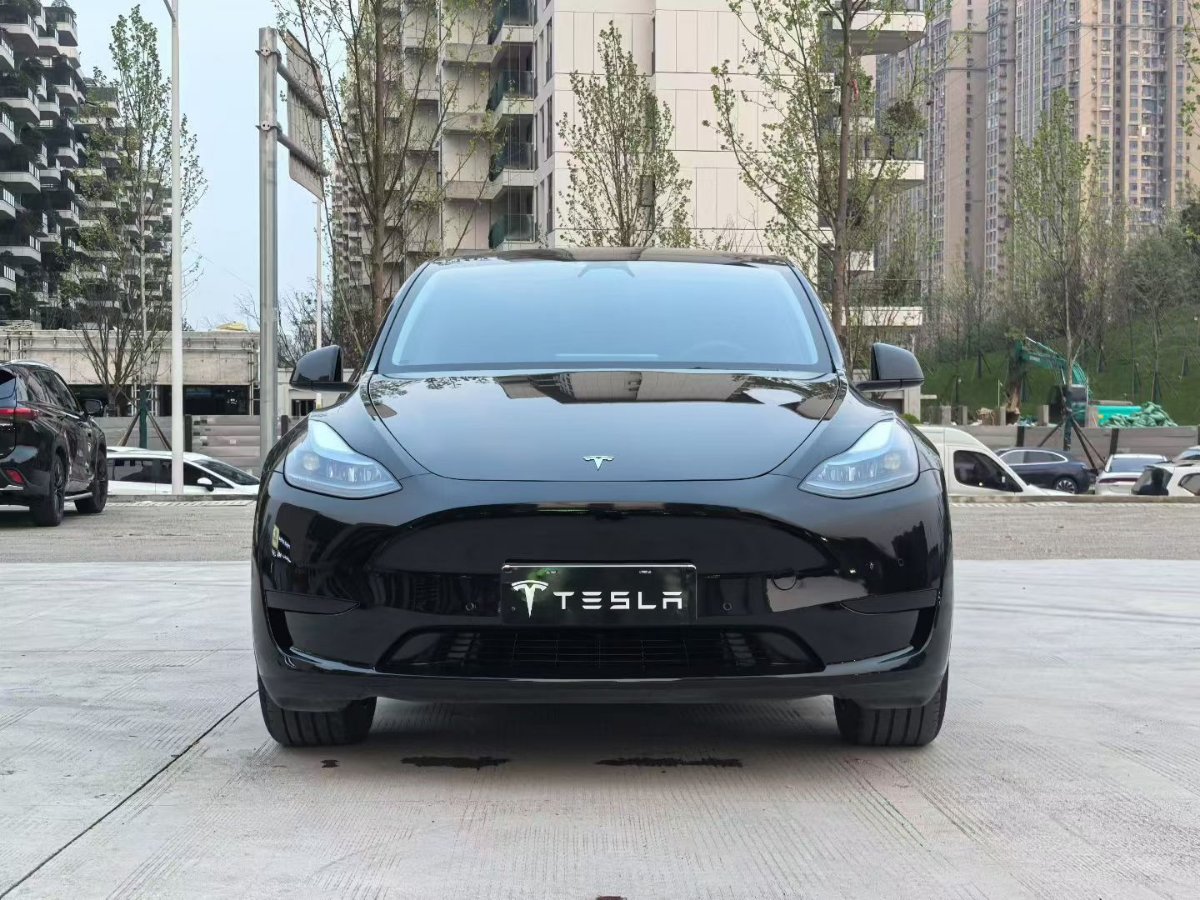 Tesla Model Y 2023 #2 Tesla Model Y 2023 car image #2