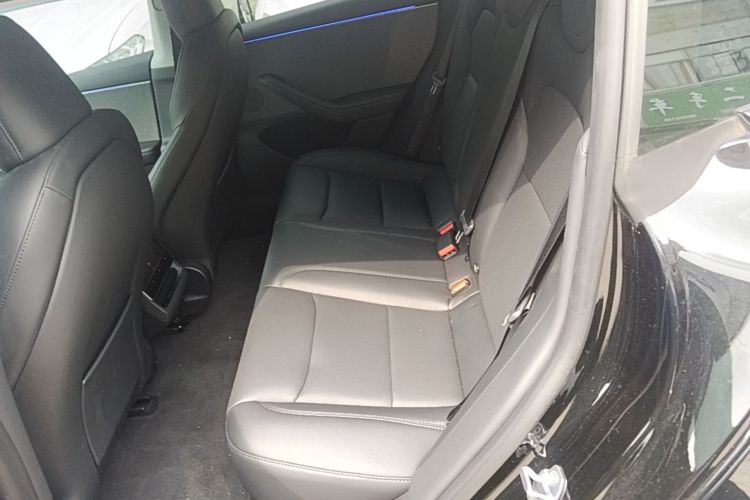 Tesla Model 3 2025 car image #17