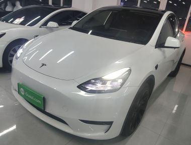 Tesla Model Y 2022 car image 