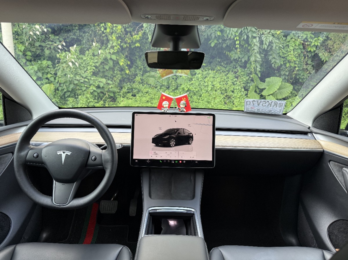 Tesla Model Y 2022 car image #9