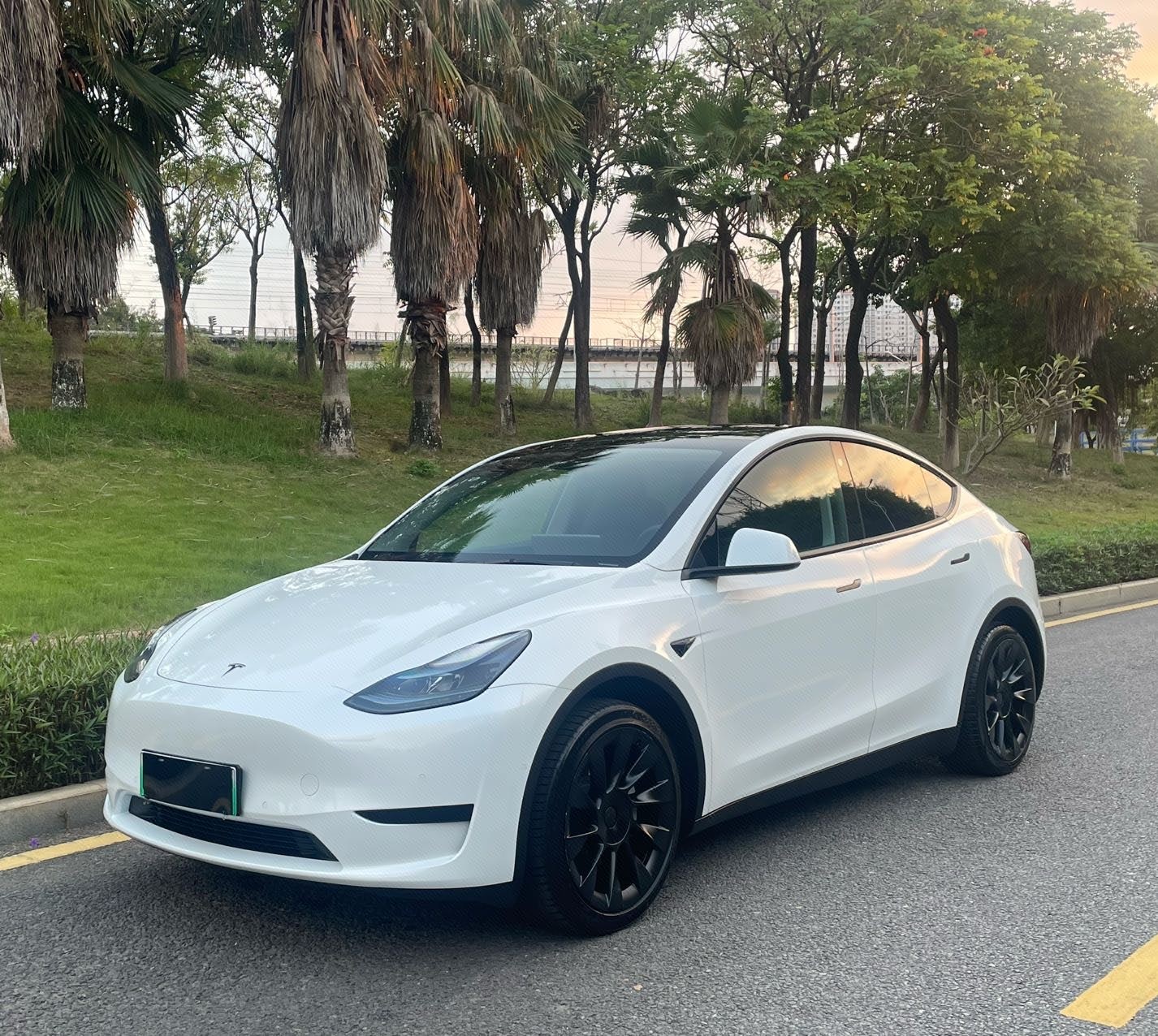 Tesla Model Y 2023 Tesla Model Y 2023 car image