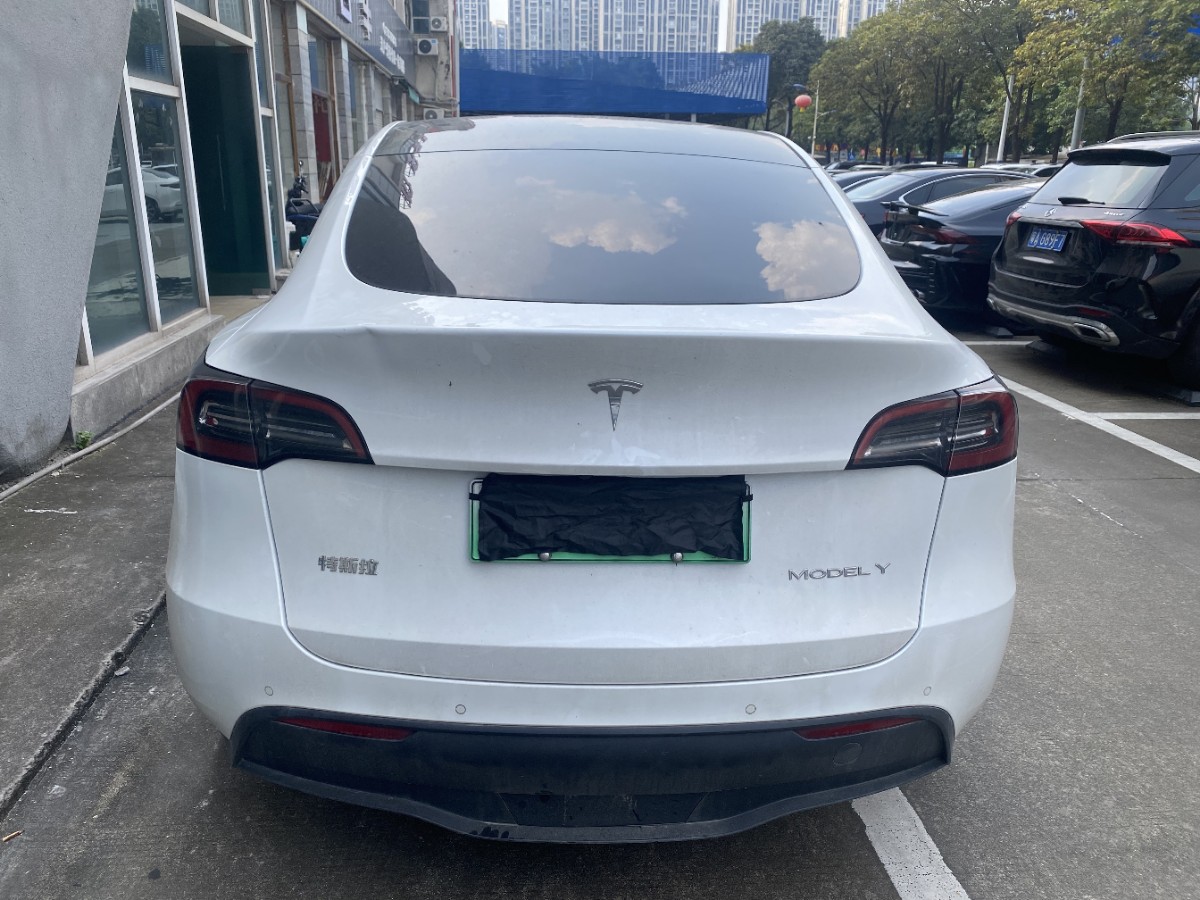 Tesla Model Y 2023 #8 Tesla Model Y 2023 car image #8