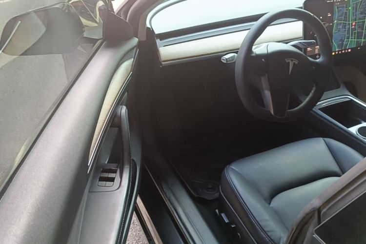 Tesla Model 3 2021 car image #12