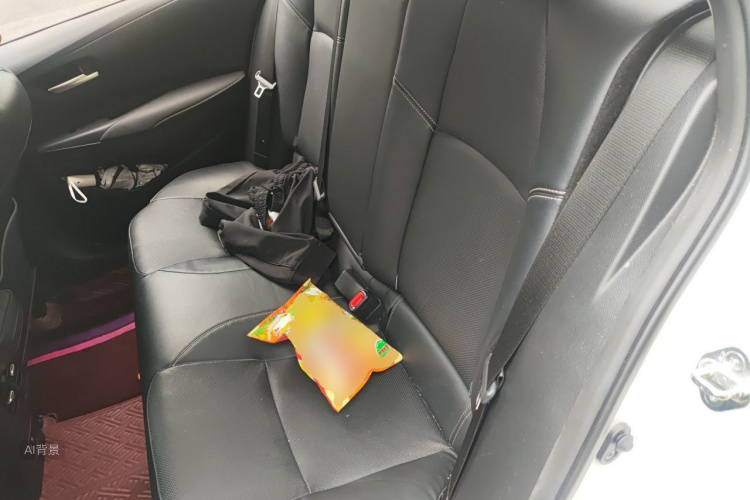 Toyota Corolla 2021 car image #19