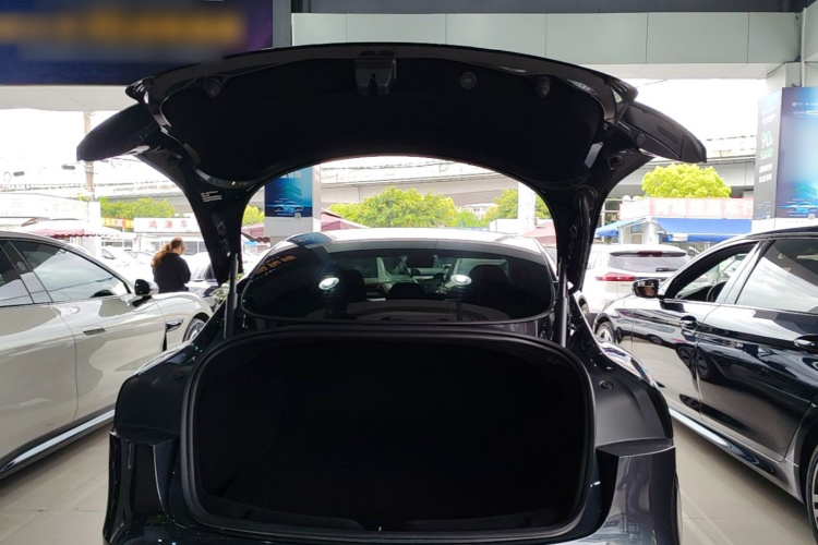 Tesla Model 3 2024 #19 Tesla Model 3 2024 car image #19